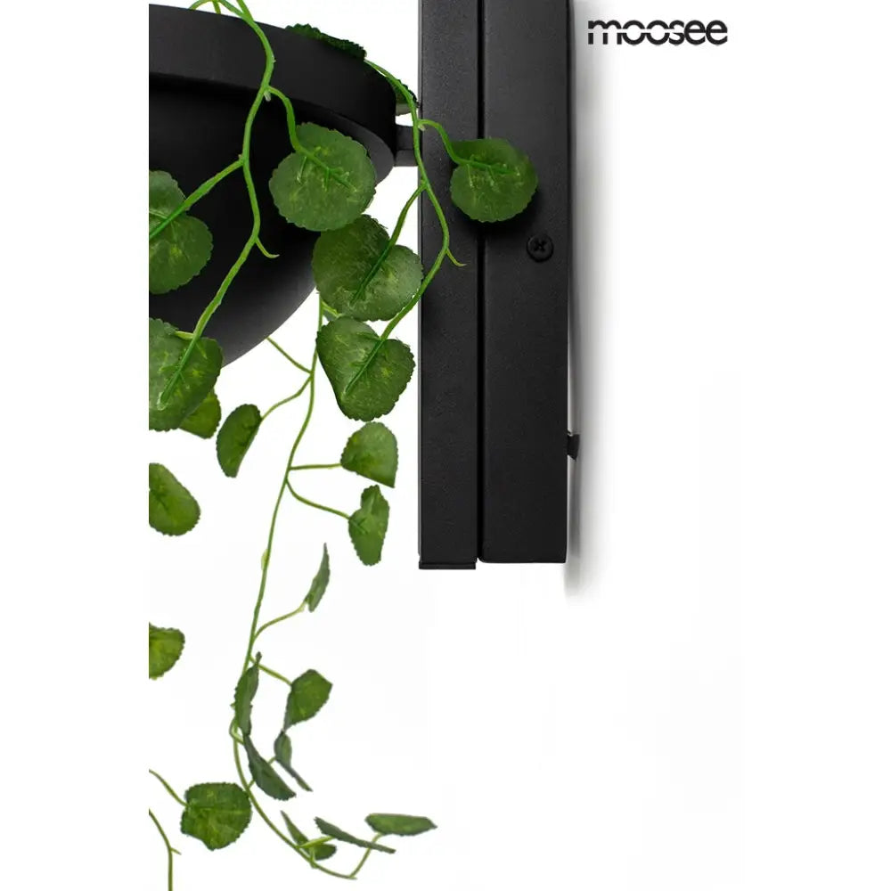 Vägglampa MOOSEE - PLANT WALL, svart - produktbild av Vägglampor från Moosee | Arvande