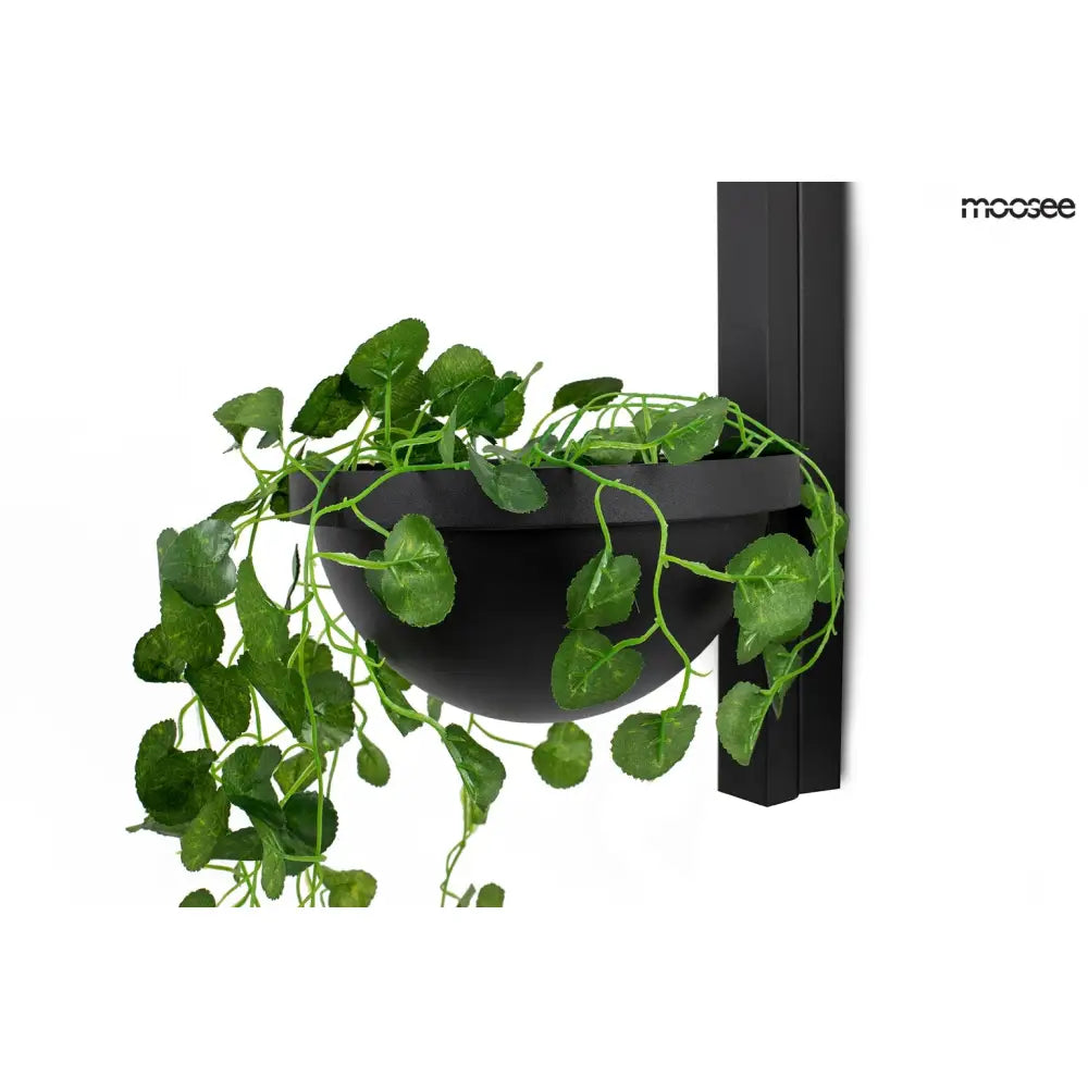 Vägglampa MOOSEE - PLANT WALL, svart - produktbild av Vägglampor från Moosee | Arvande
