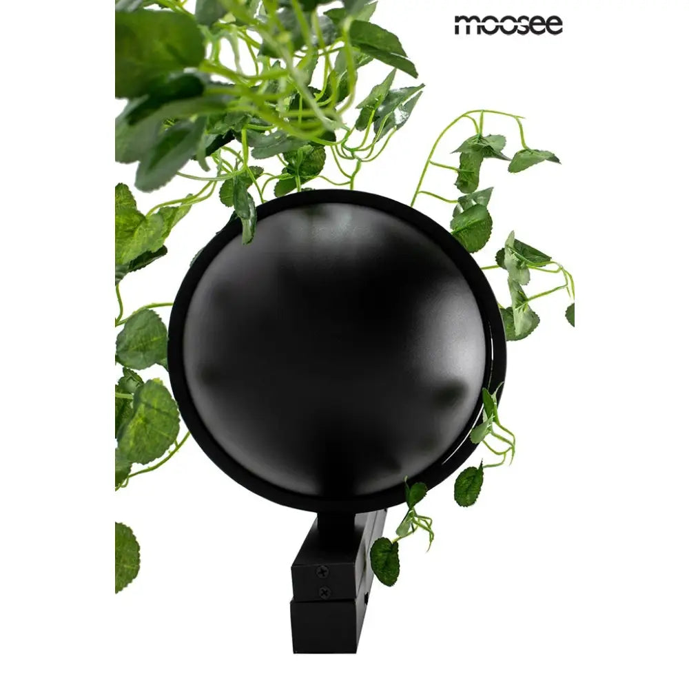Vägglampa MOOSEE - PLANT WALL, svart - produktbild av Vägglampor från Moosee | Arvande
