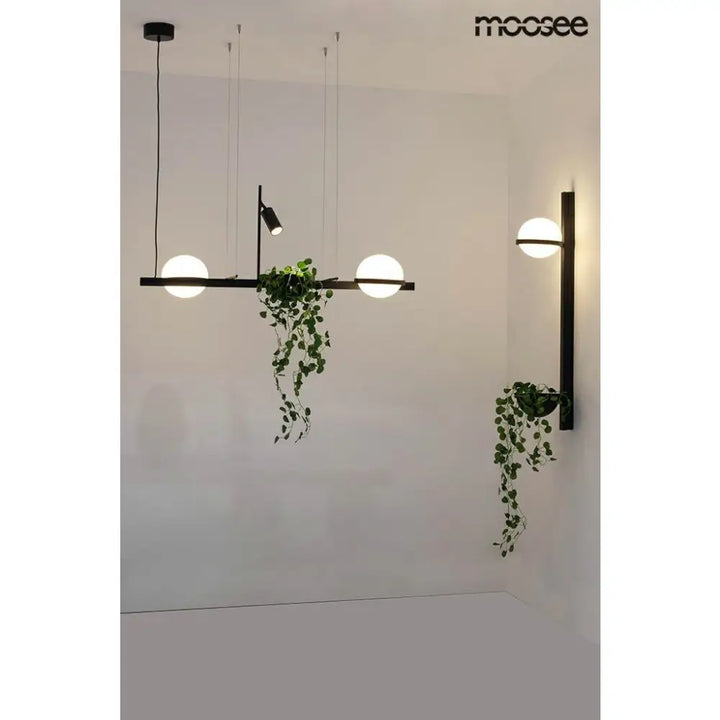 Vägglampa MOOSEE - PLANT WALL, svart - produktbild av Vägglampor från Moosee | Arvande