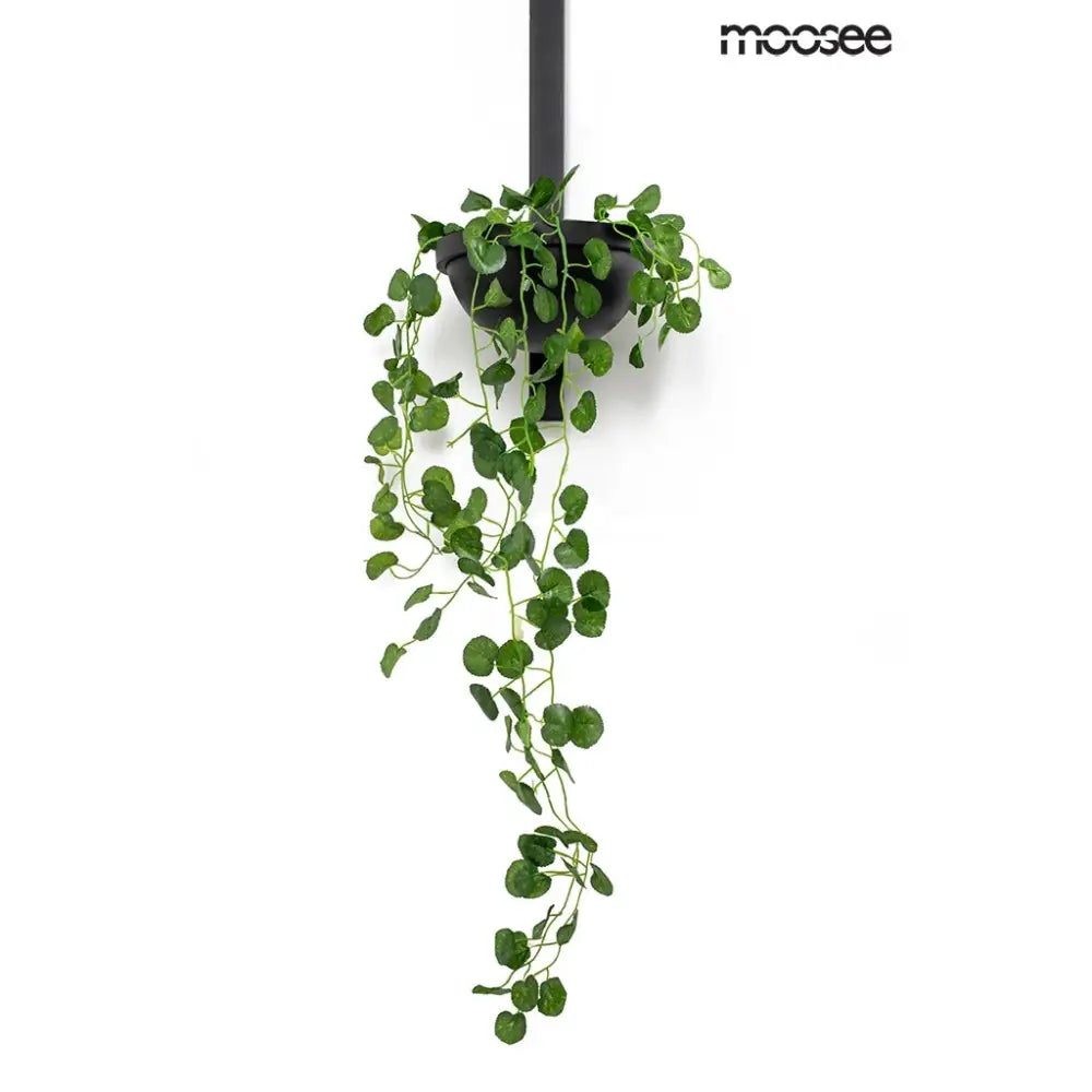 Vägglampa MOOSEE - PLANT WALL, svart - produktbild av Vägglampor från Moosee | Arvande